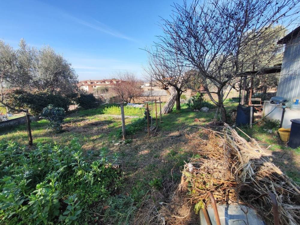 immagine annuncio 3 di 13