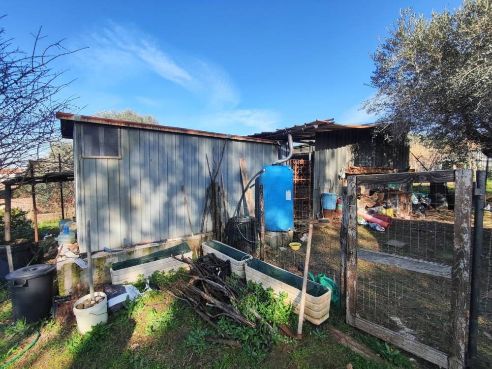 immagine annuncio 5 di 13