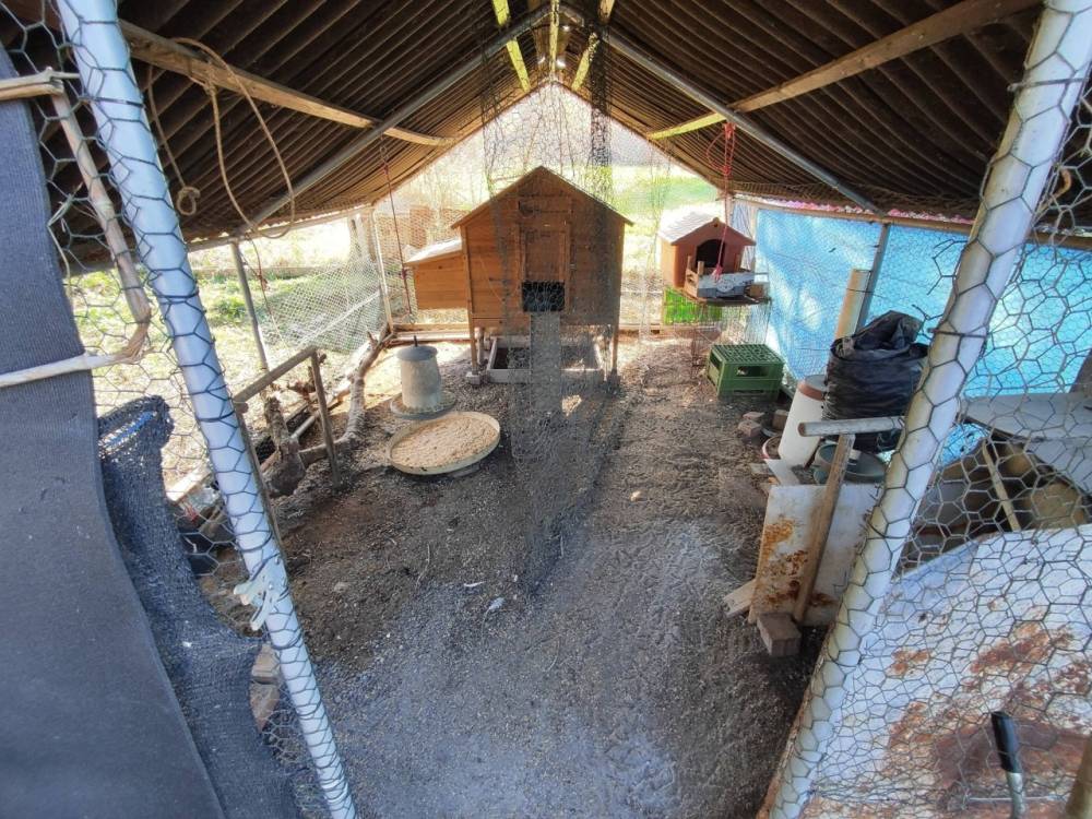 immagine annuncio 6 di 13