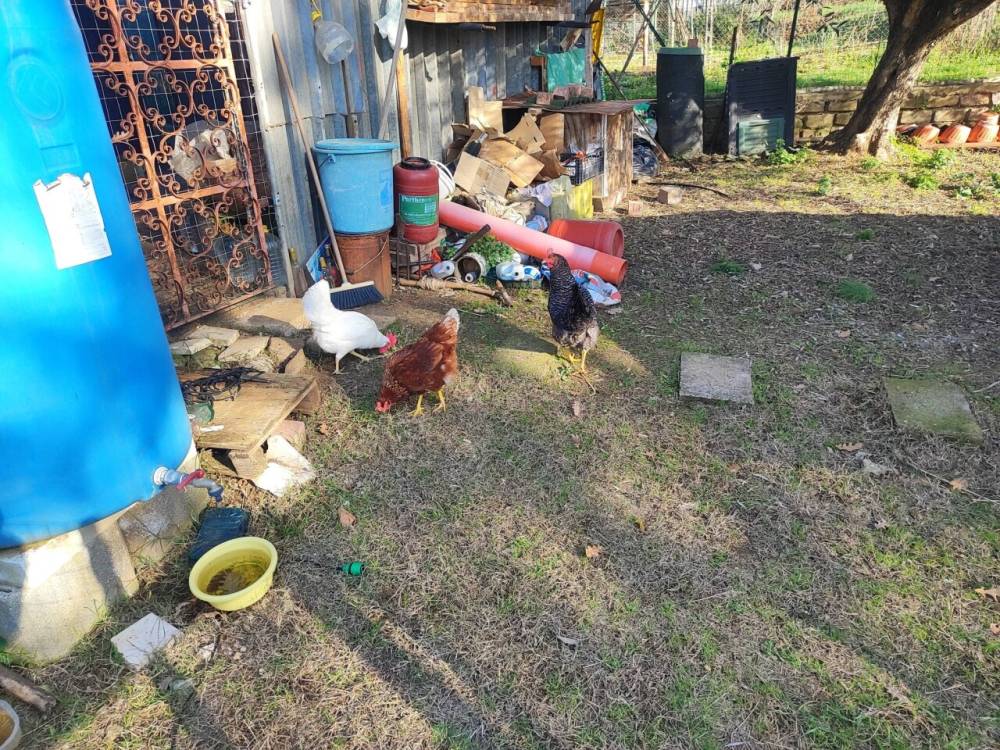 immagine annuncio 8 di 13