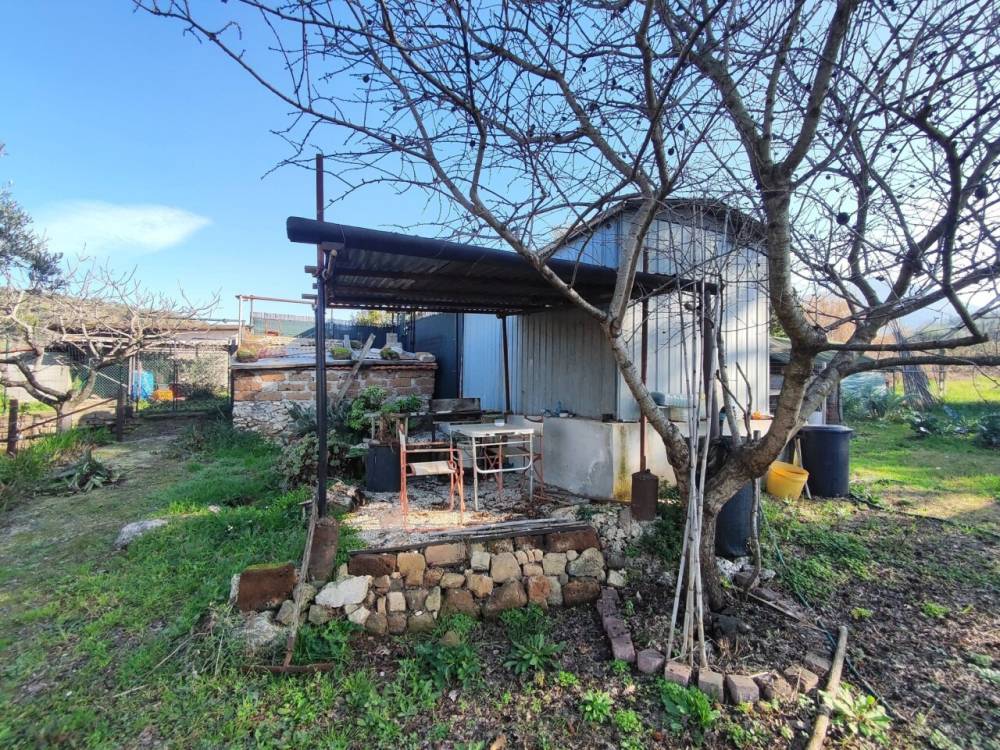 immagine annuncio 9 di 13