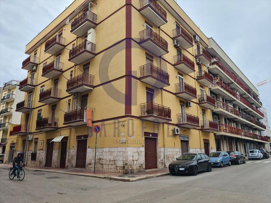 immagine annuncio 0 di 5