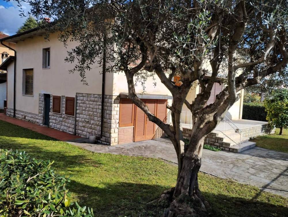 immagine annuncio 5 di 13