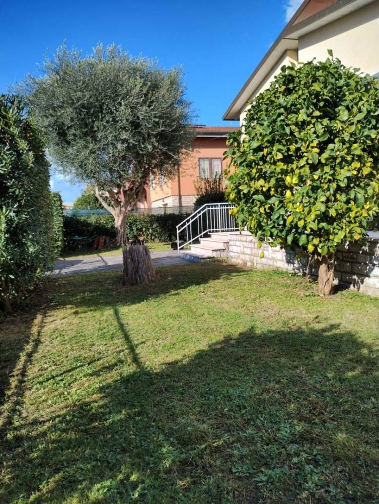 immagine annuncio 6 di 13