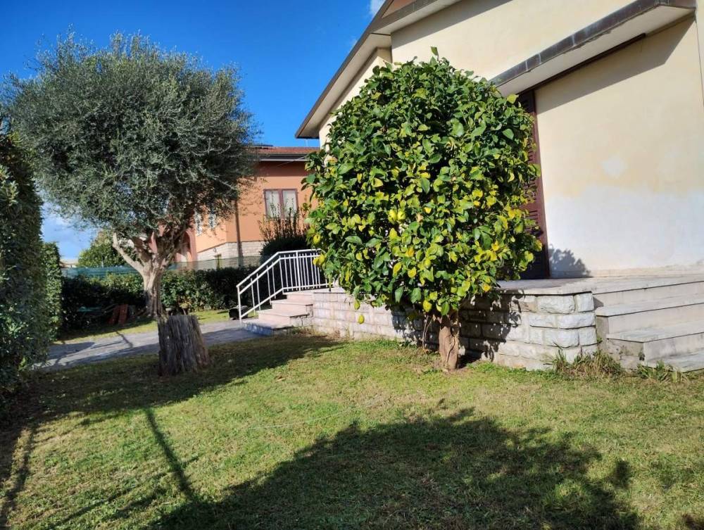 immagine annuncio 9 di 13