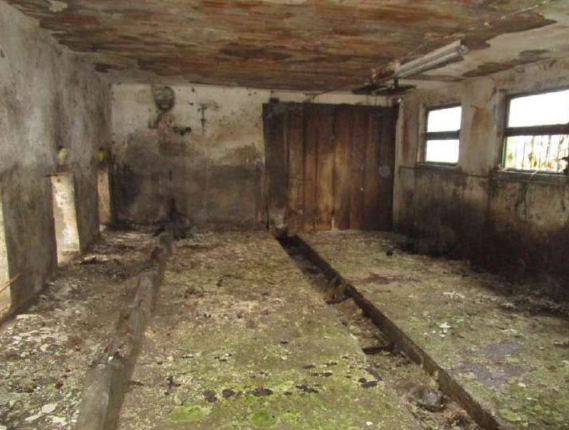 immagine annuncio 8 di 13