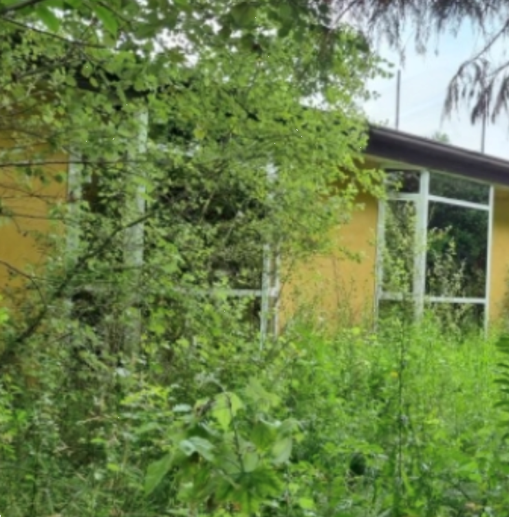 immagine annuncio 1 di 13