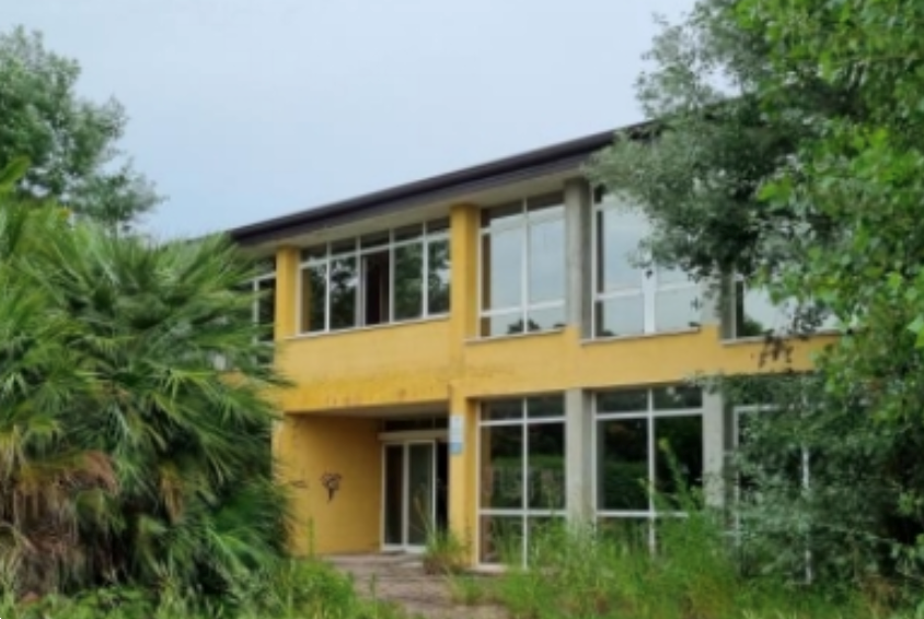 immagine annuncio 2 di 13