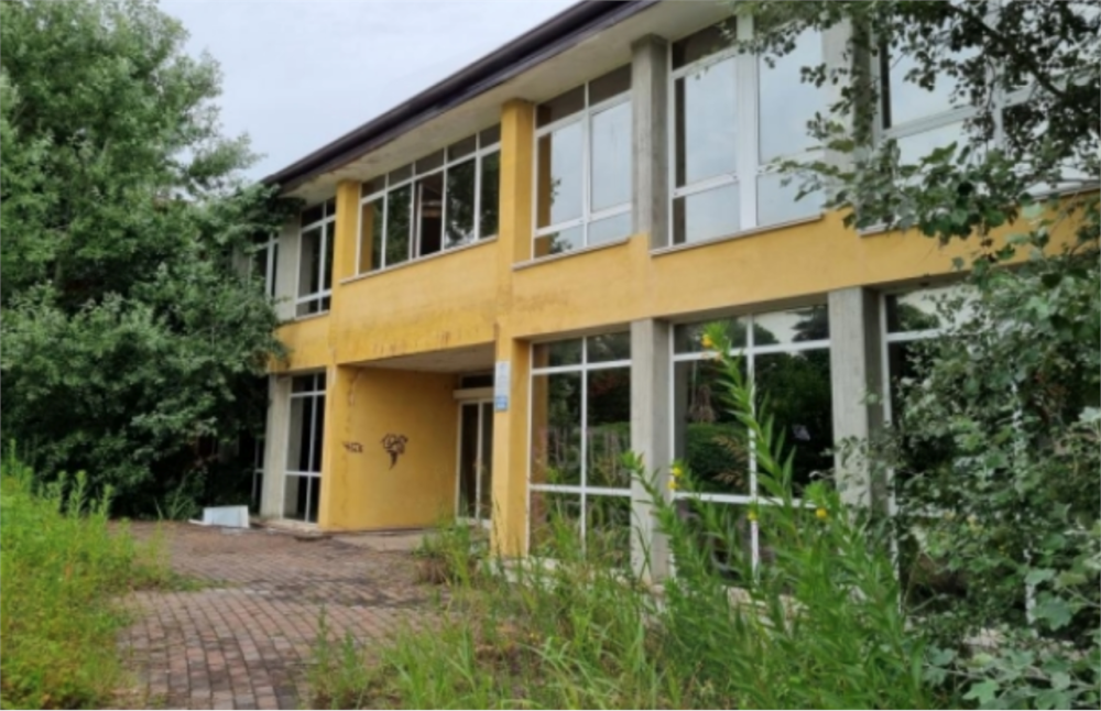 immagine annuncio 3 di 13