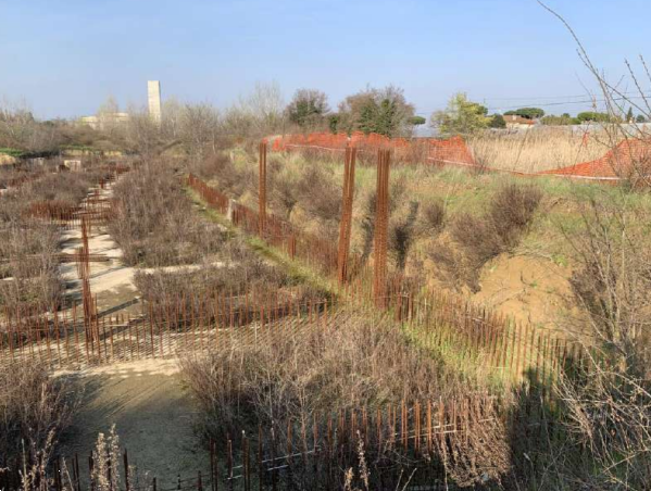 immagine annuncio 2 di 11