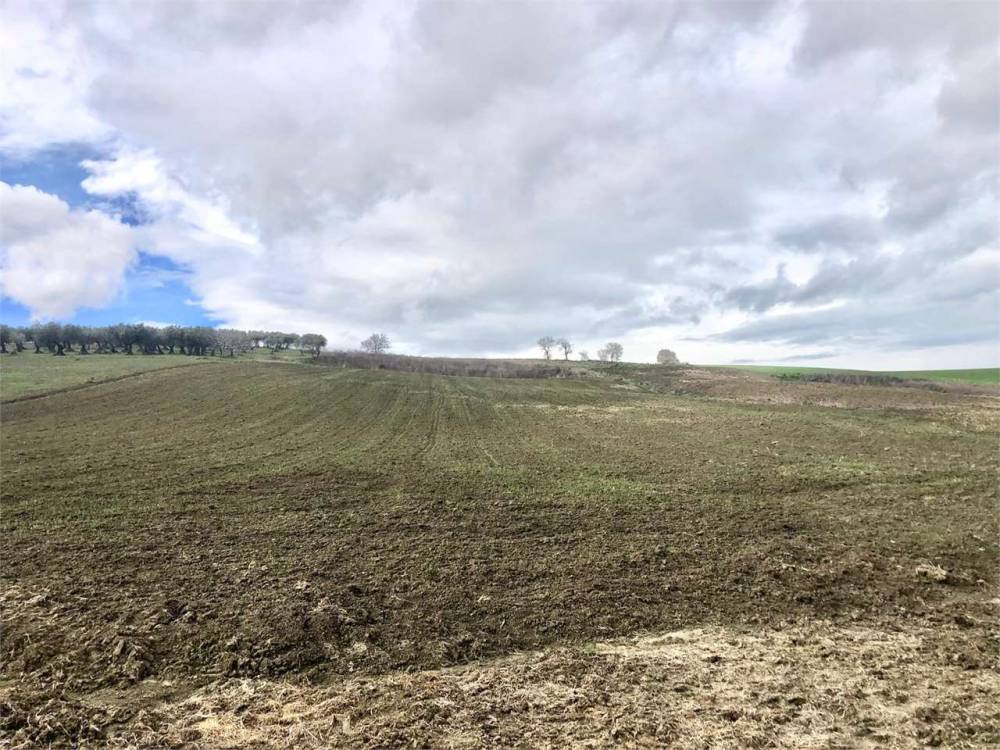 immagine annuncio 6 di 8