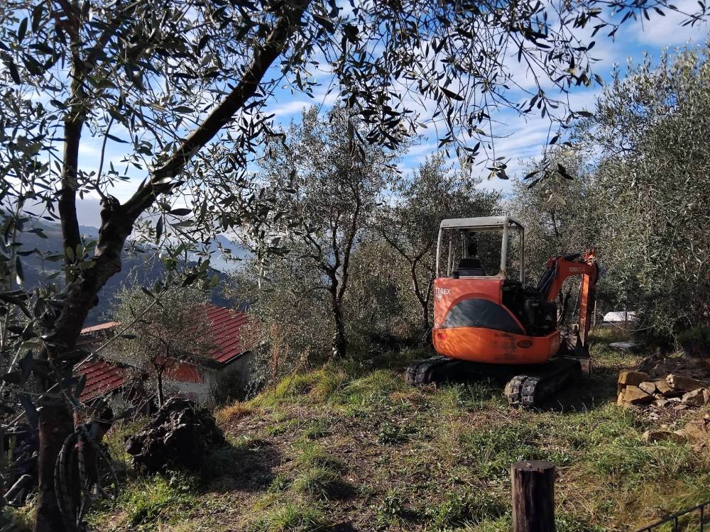 immagine annuncio 3 di 13