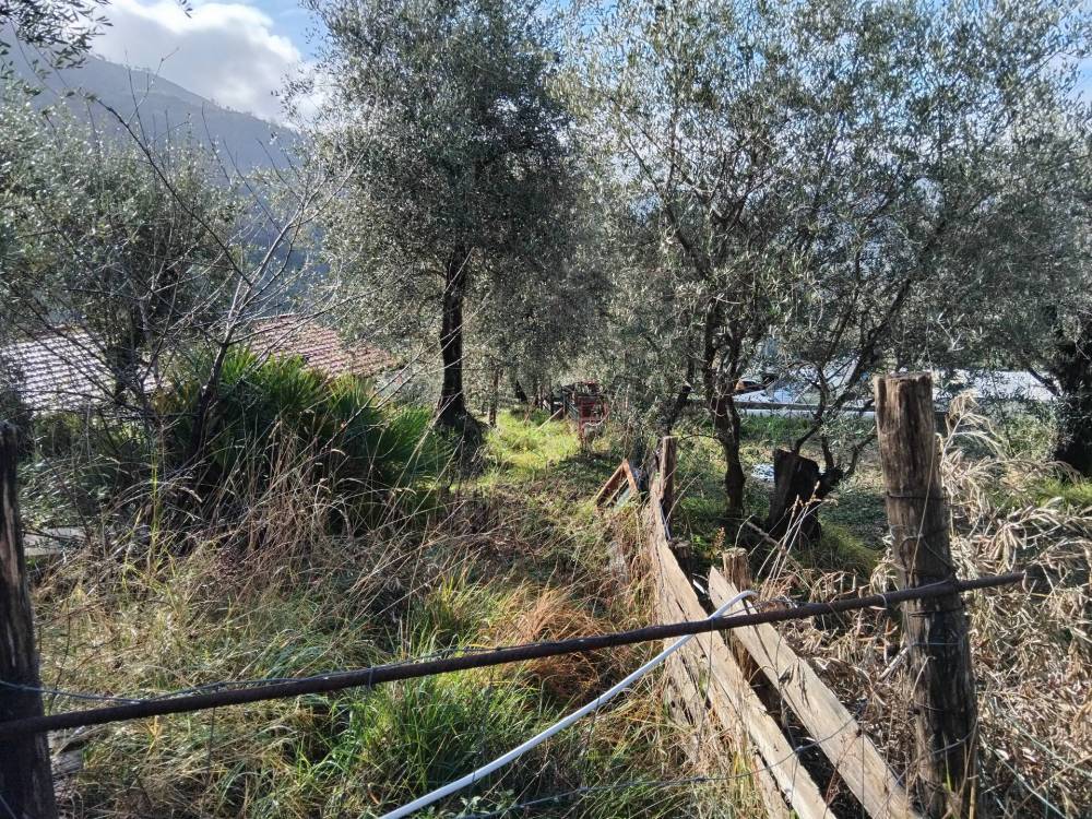 immagine annuncio 4 di 13