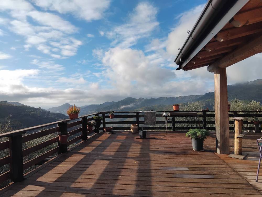 immagine annuncio 2 di 13