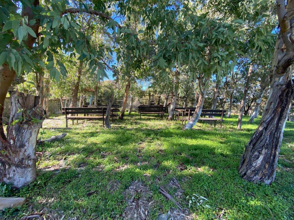 immagine annuncio 11 di 13