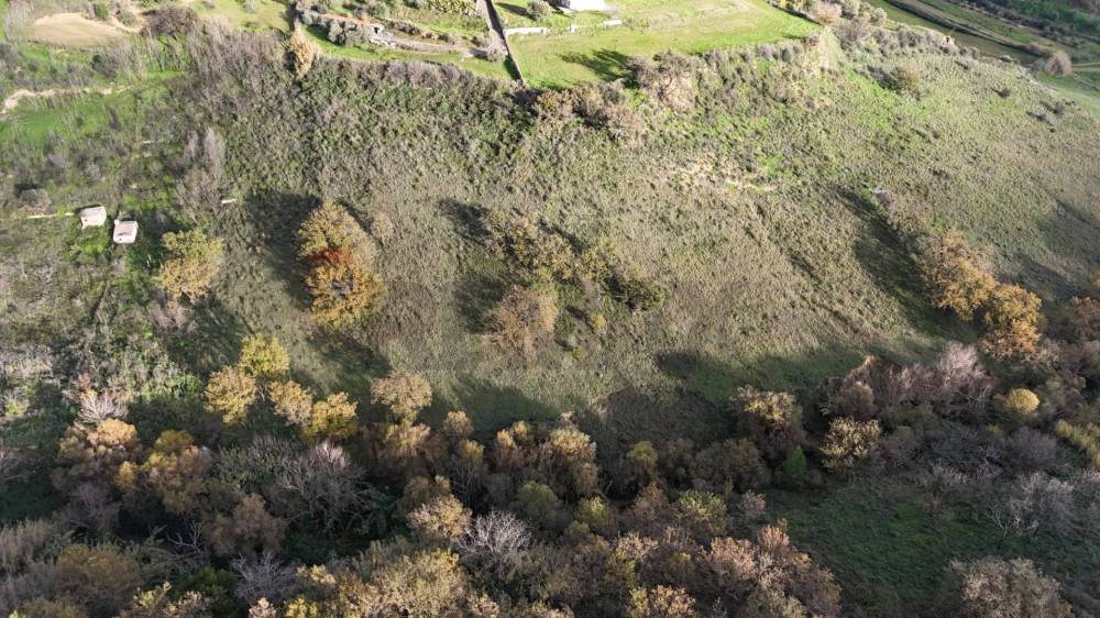 immagine annuncio 3 di 13