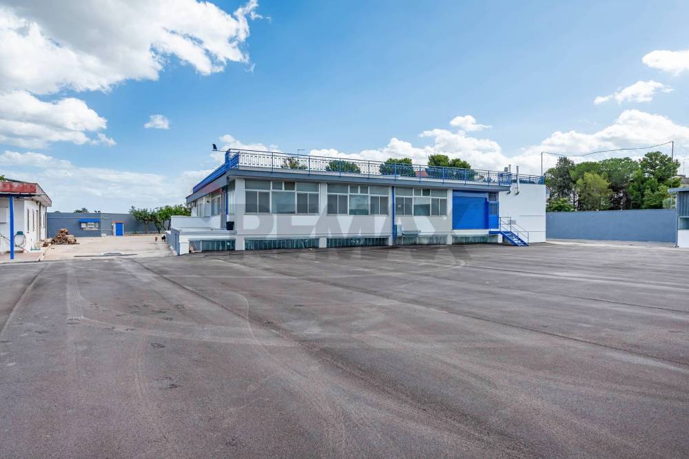 immagine annuncio 2 di 12