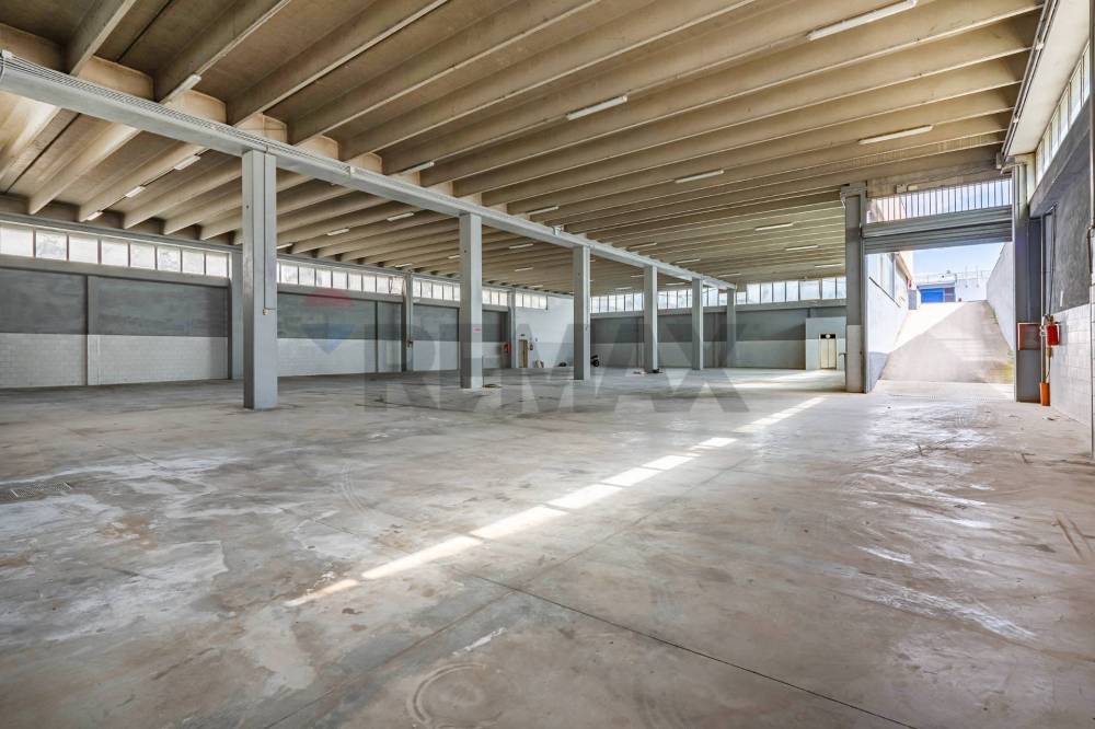 immagine annuncio 7 di 12