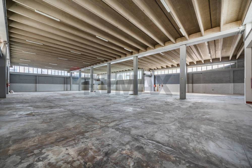 immagine annuncio 8 di 12