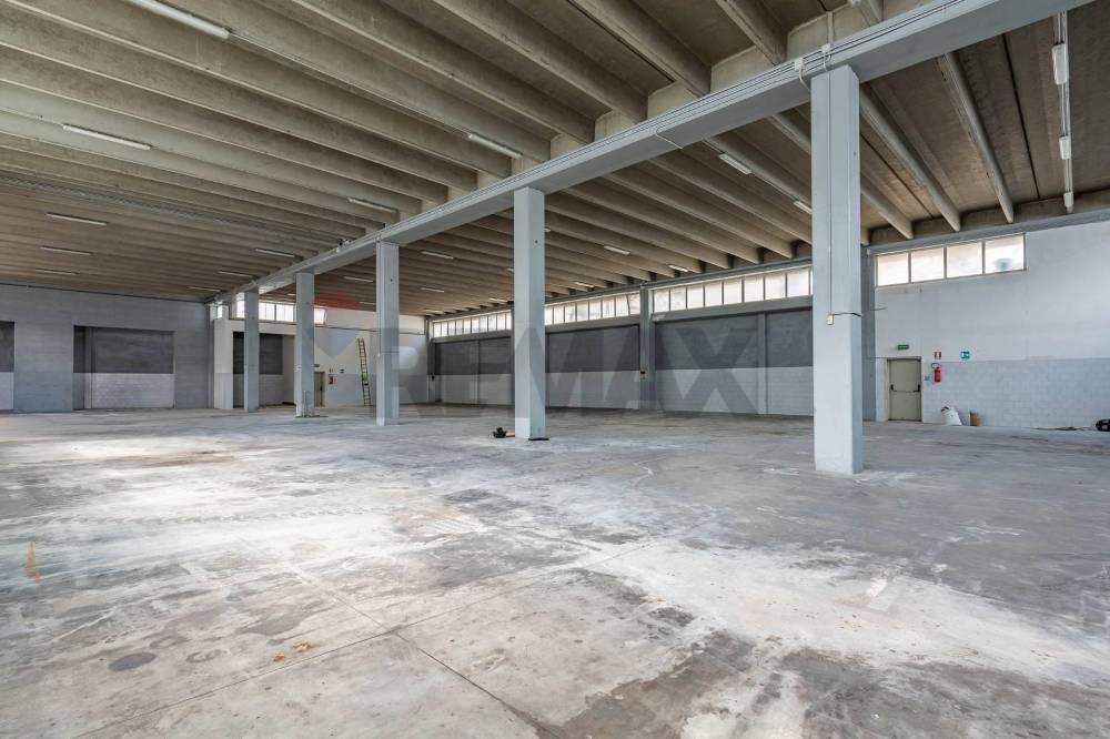 immagine annuncio 10 di 12