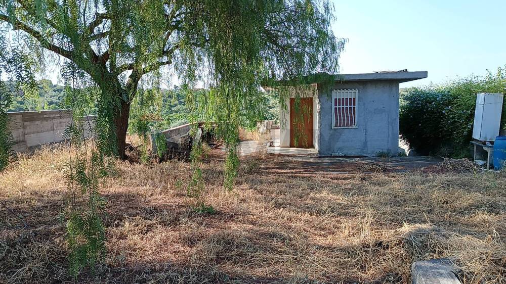 immagine annuncio 2 di 6