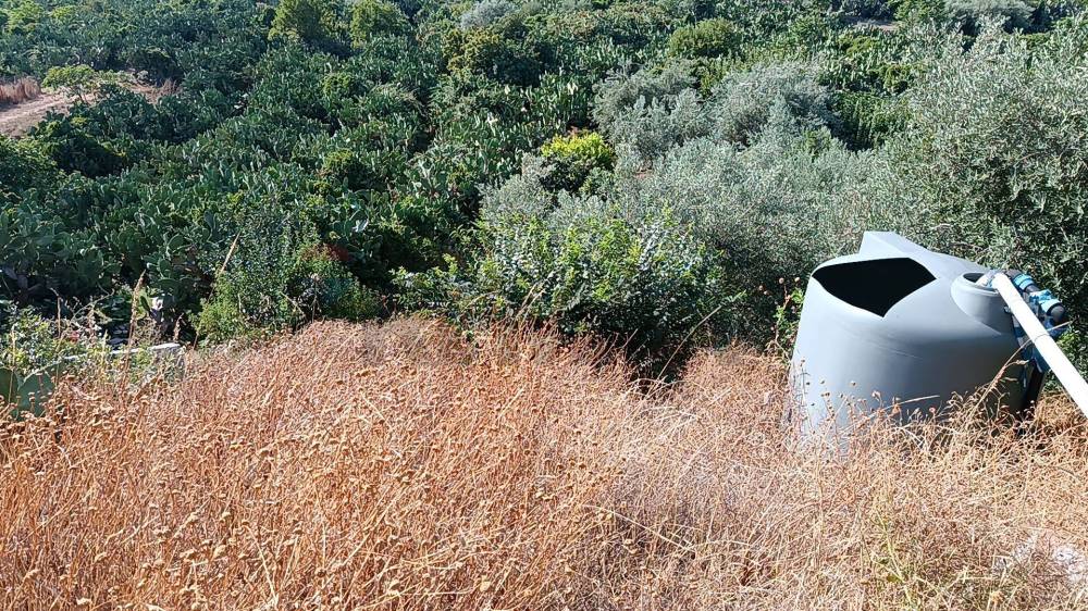 immagine annuncio 3 di 6