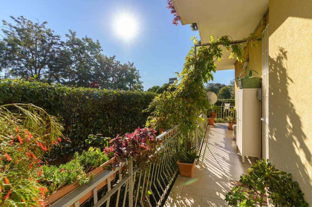 immagine annuncio 3 di 13