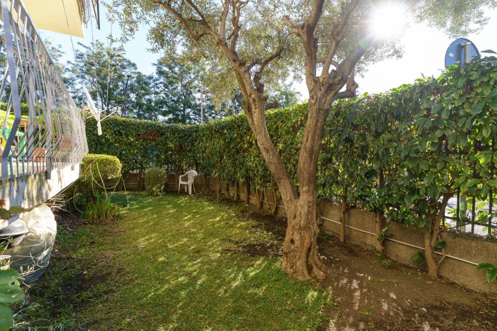 immagine annuncio 4 di 13