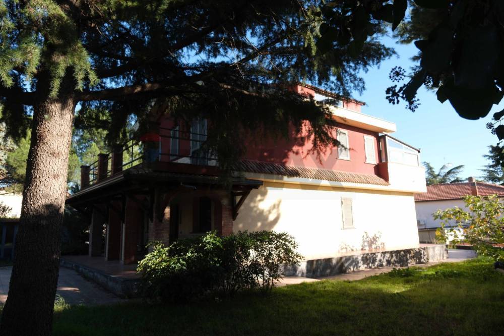 immagine annuncio 6 di 13