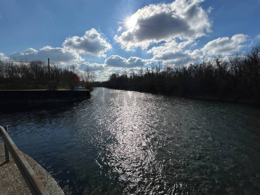 immagine annuncio 12 di 13