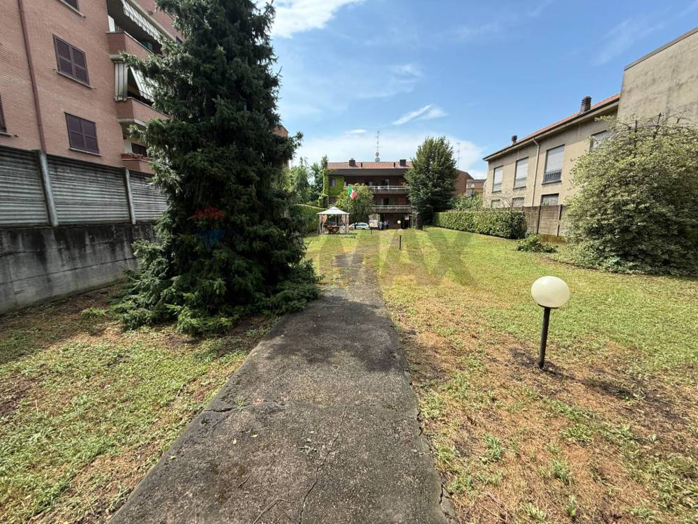 immagine annuncio 9 di 13