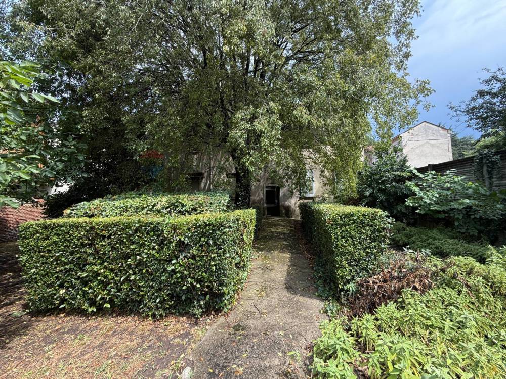 immagine annuncio 10 di 13