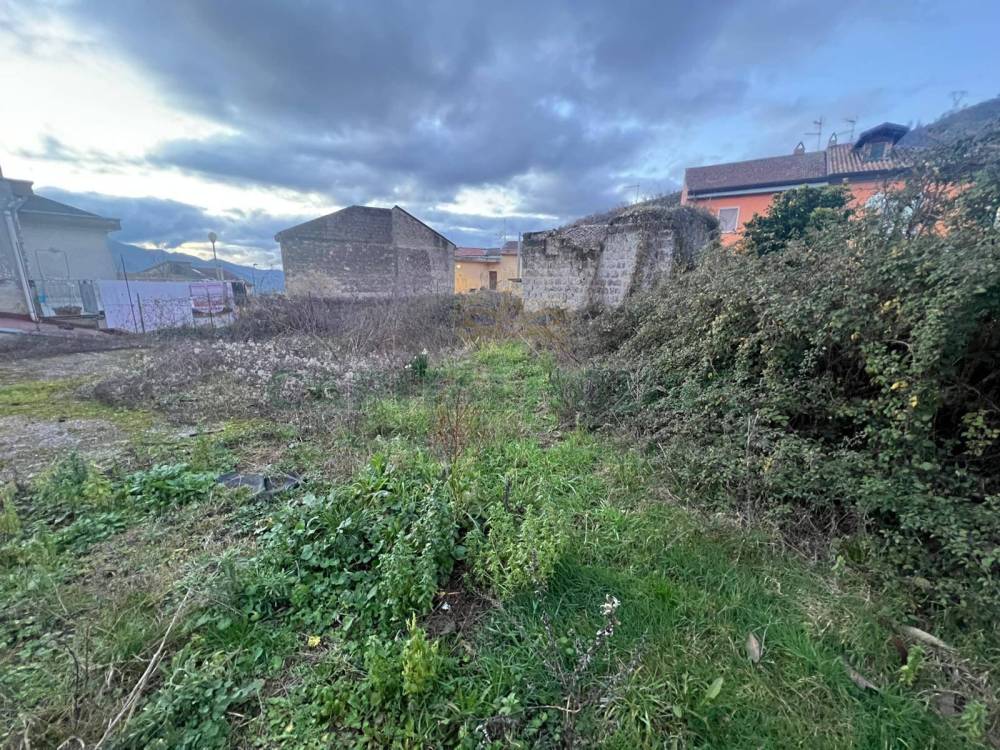 immagine annuncio 2 di 4