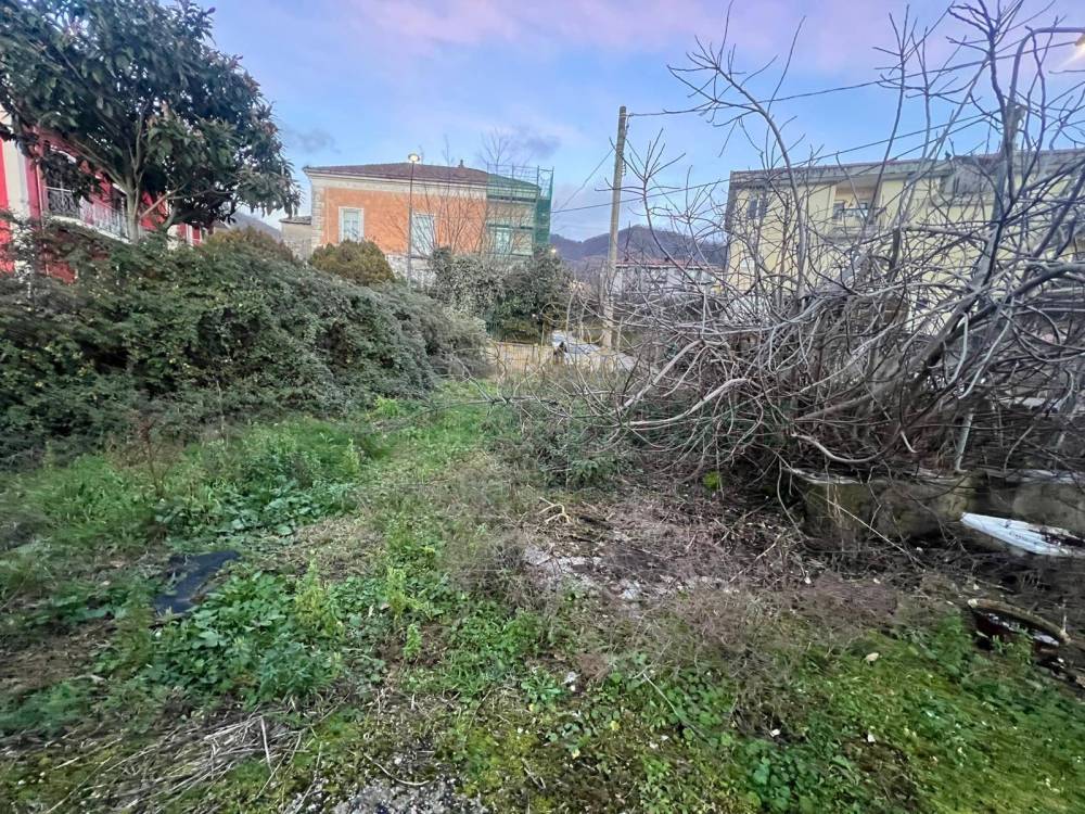 immagine annuncio 3 di 4