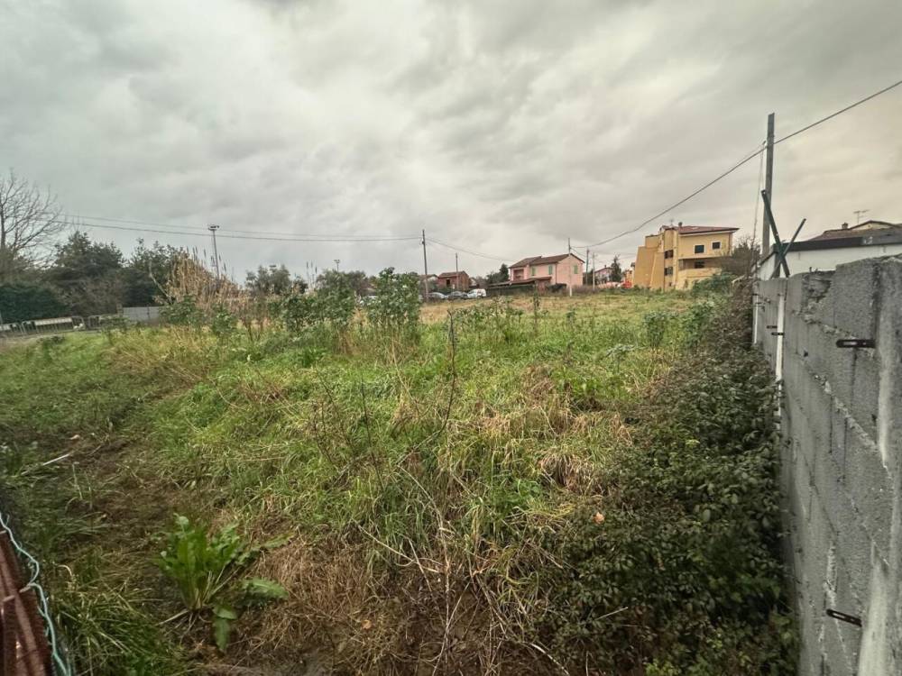 immagine annuncio 5 di 9