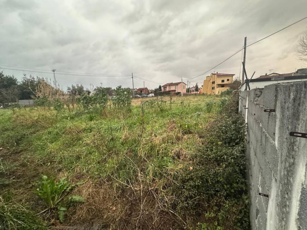 immagine annuncio 4 di 9