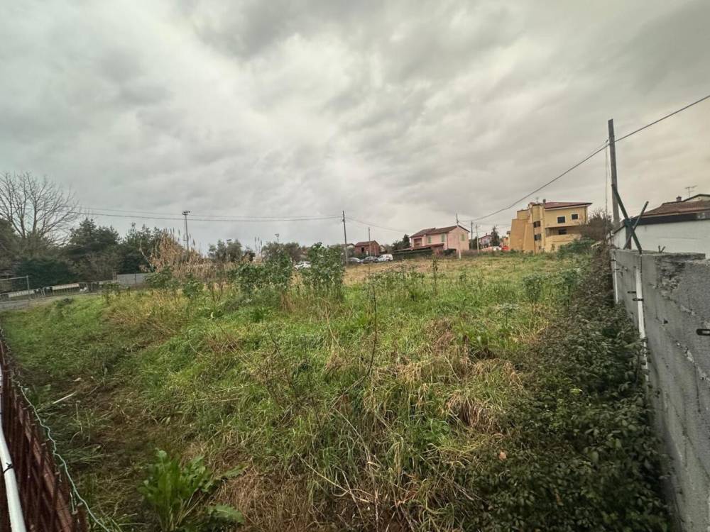 immagine annuncio 3 di 9