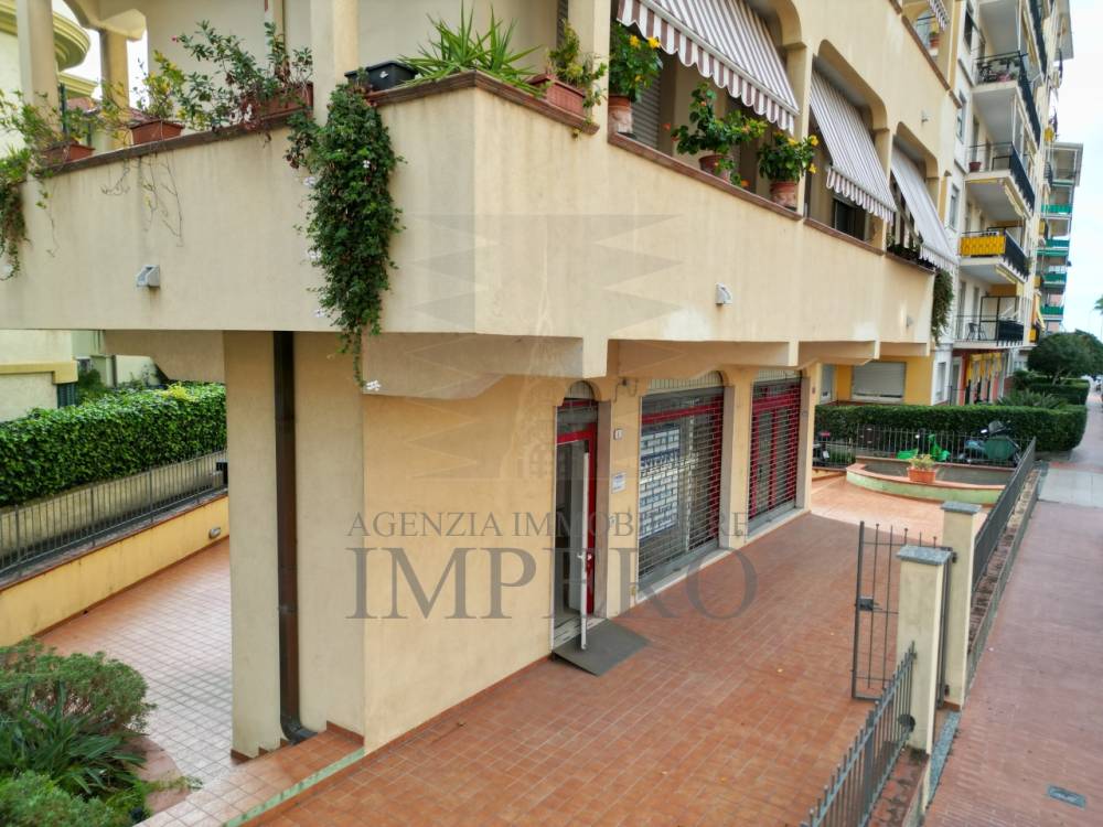 immagine annuncio 12 di 13