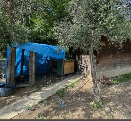 immagine annuncio 4 di 6