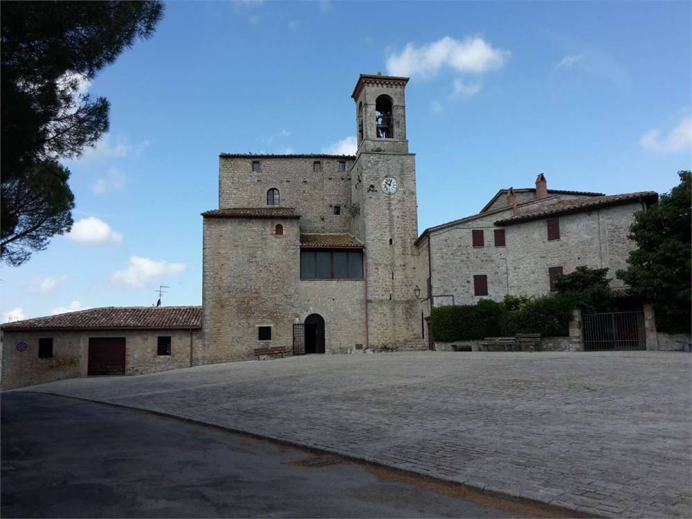 immagine annuncio 7 di 13