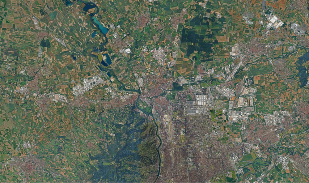 immagine annuncio 3 di 13