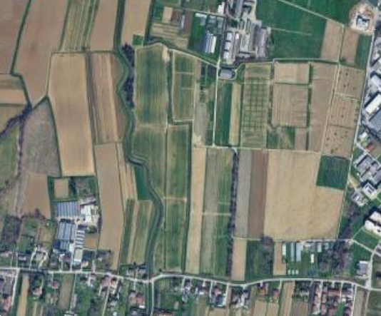 immagine annuncio 12 di 13