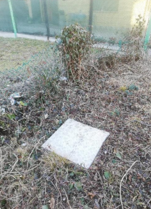 immagine annuncio 8 di 13