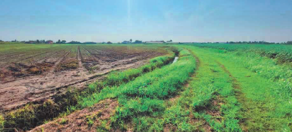 immagine annuncio 1 di 13