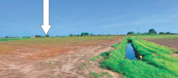 immagine annuncio 2 di 13