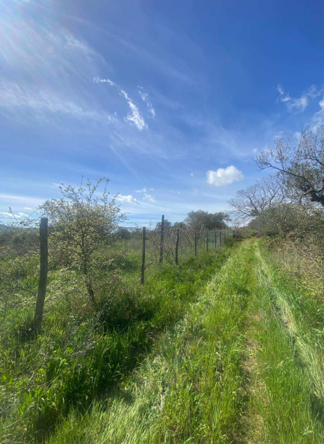 immagine annuncio 7 di 13