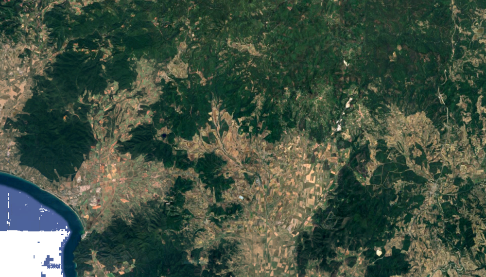 immagine annuncio 3 di 13