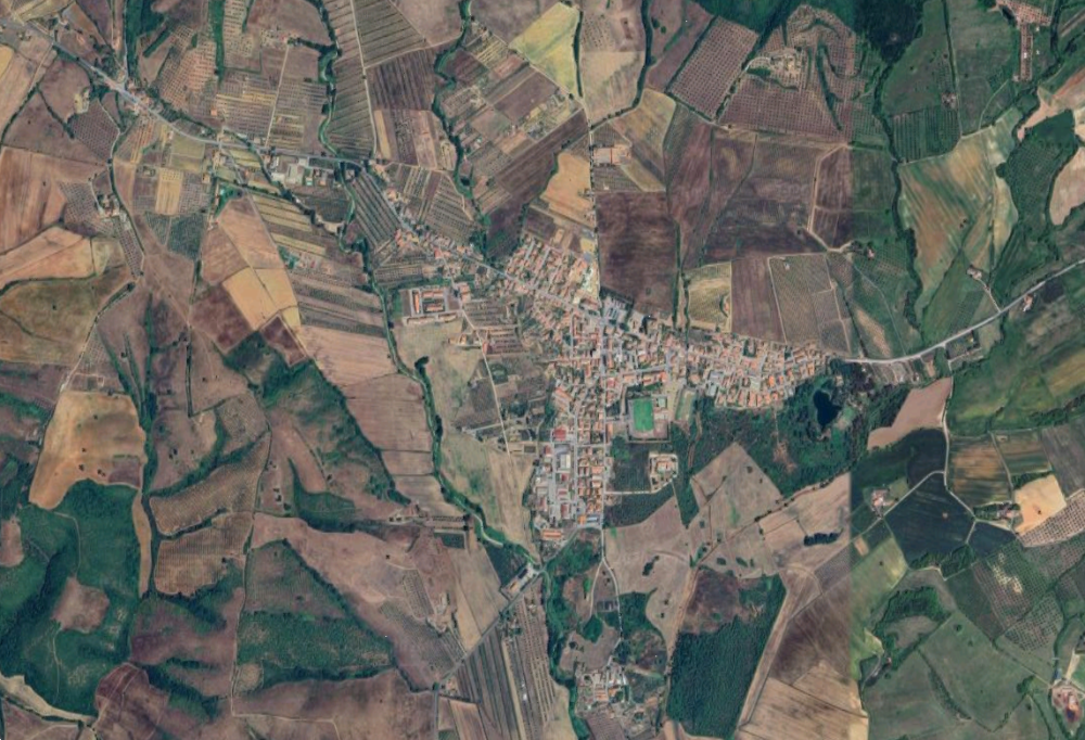 immagine annuncio 3 di 13