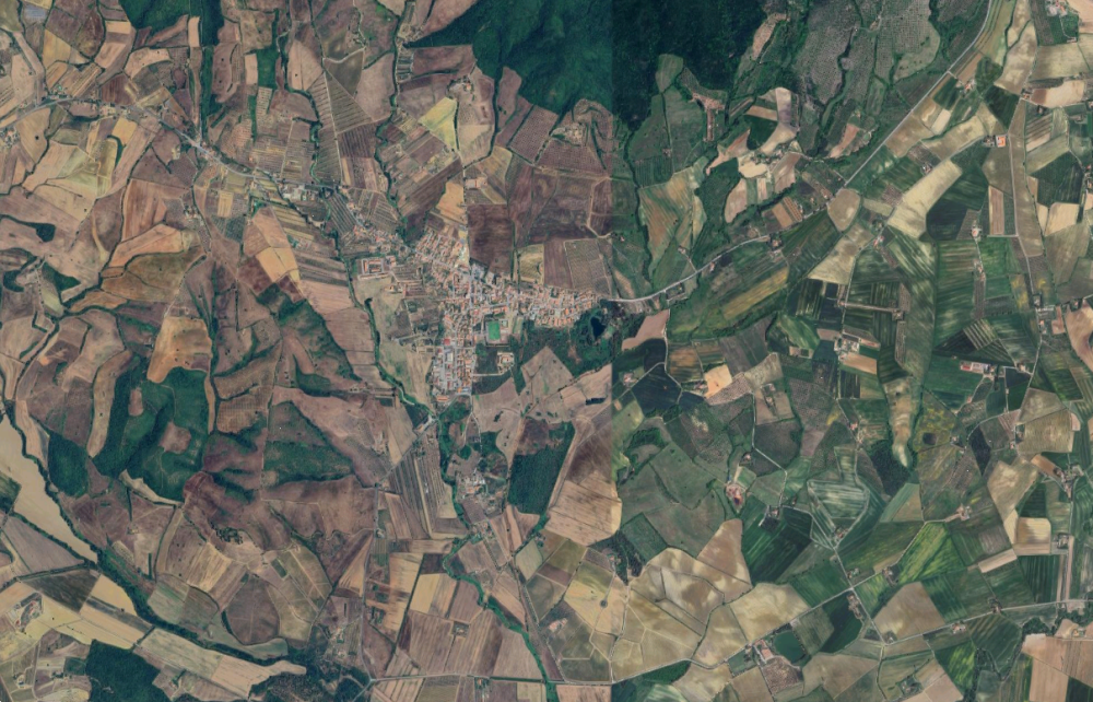 immagine annuncio 5 di 13