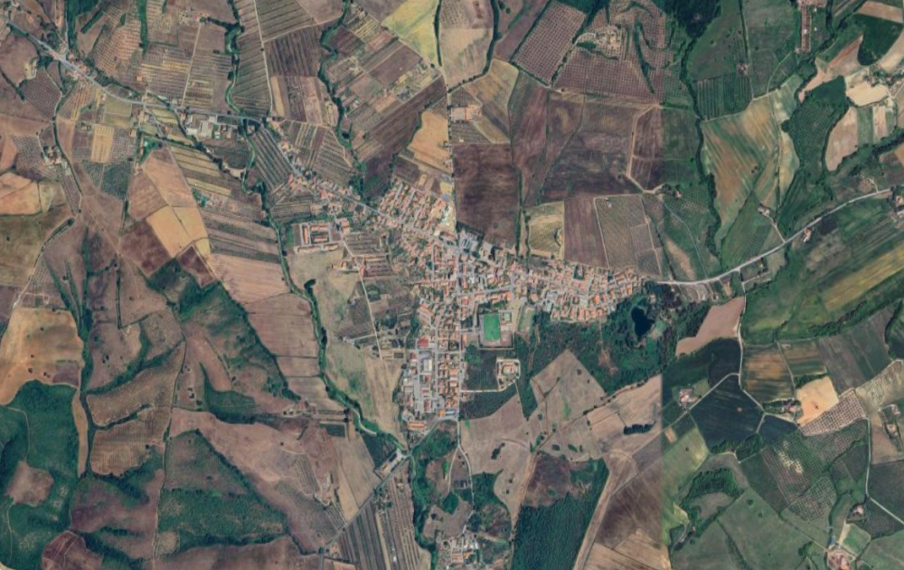 immagine annuncio 3 di 13